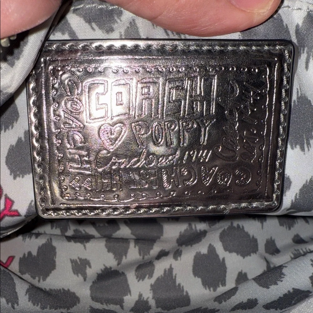 Rare Coach Poppy Limited Edition Metallic Double Button Silver Crossbody